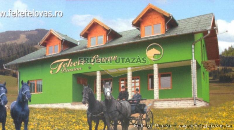 Fekete Lovas Panzi (1)