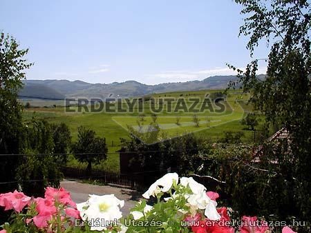 Bori Vend�gh�z (9)