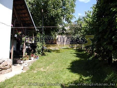 Bori Vend�gh�z (8)