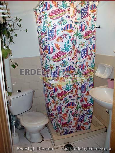 Bori Vend�gh�z (7)