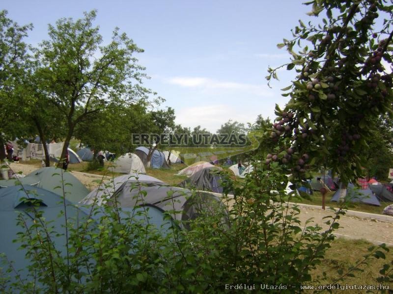 Kalls Zoltn Stiftung - Jugendherberge (6)