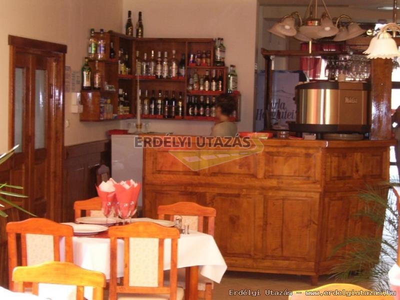 Juliu's Panzi-tterem (4)