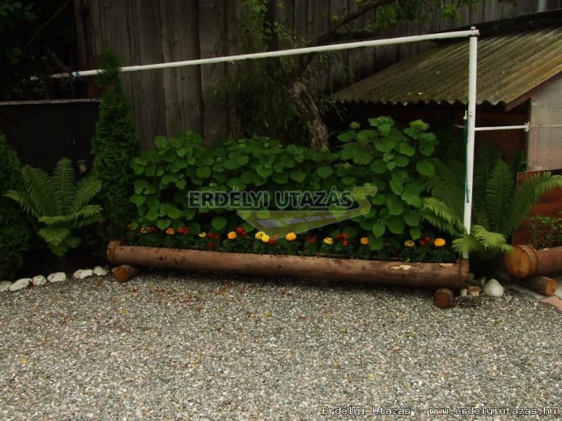 Pension Ren�ta*** (33)