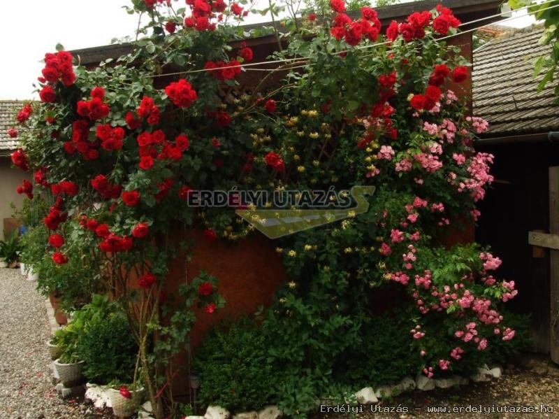Pension Ren�ta*** (26)