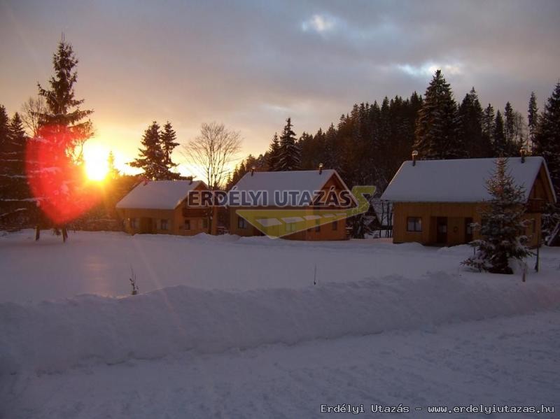 Turul Panzi (2)