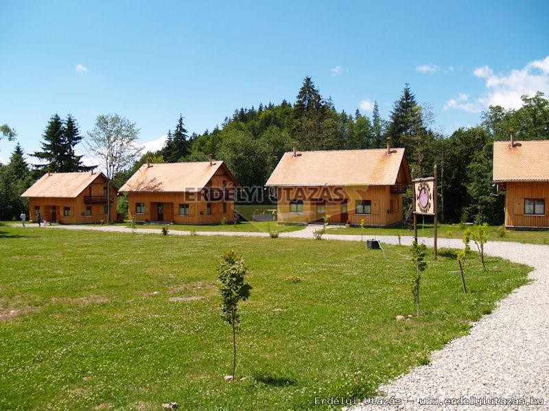 Turul Panzi (1)