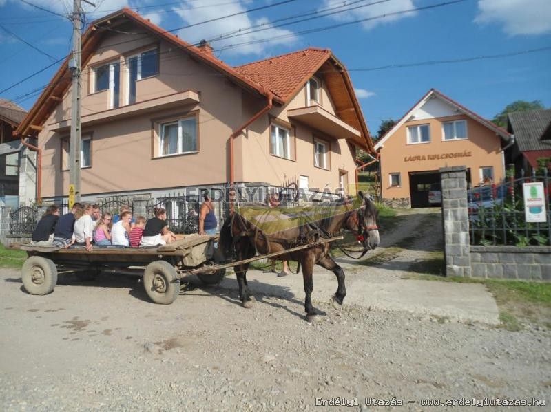 Laura Ferienhaus - Tjhz Gasthaus - Kvendghz (37)