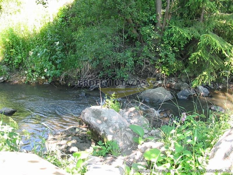 Vivien Guesthouse (10)
