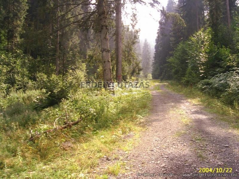 Kunyh a Szalrdon (2)