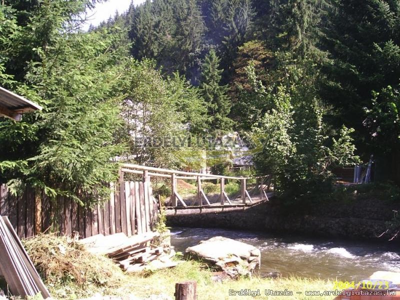 Kunyh a Szalrdon (4)