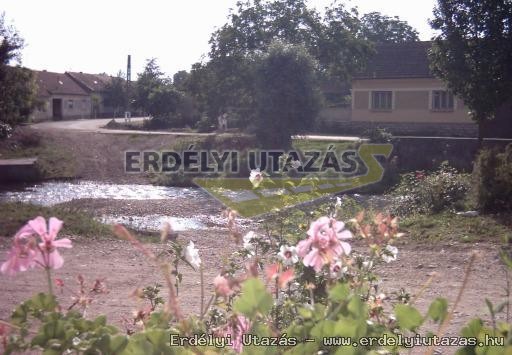 small river in front of the house