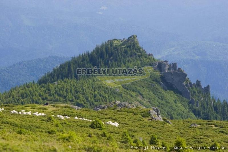 Tihu peak 1799m