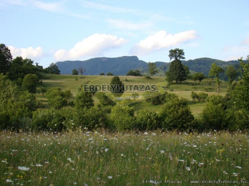 cotteage neighborhood - background the God's chair