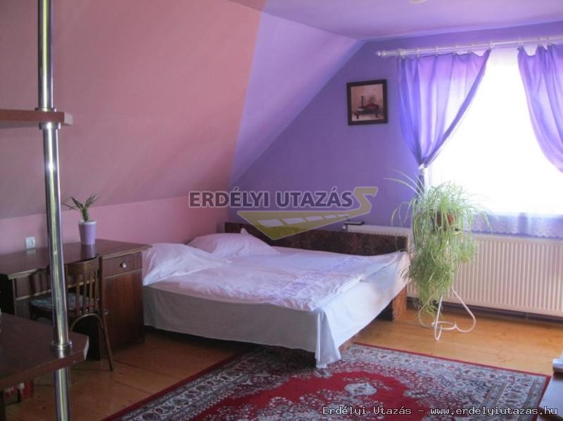 Timedi Guesthouse (6)