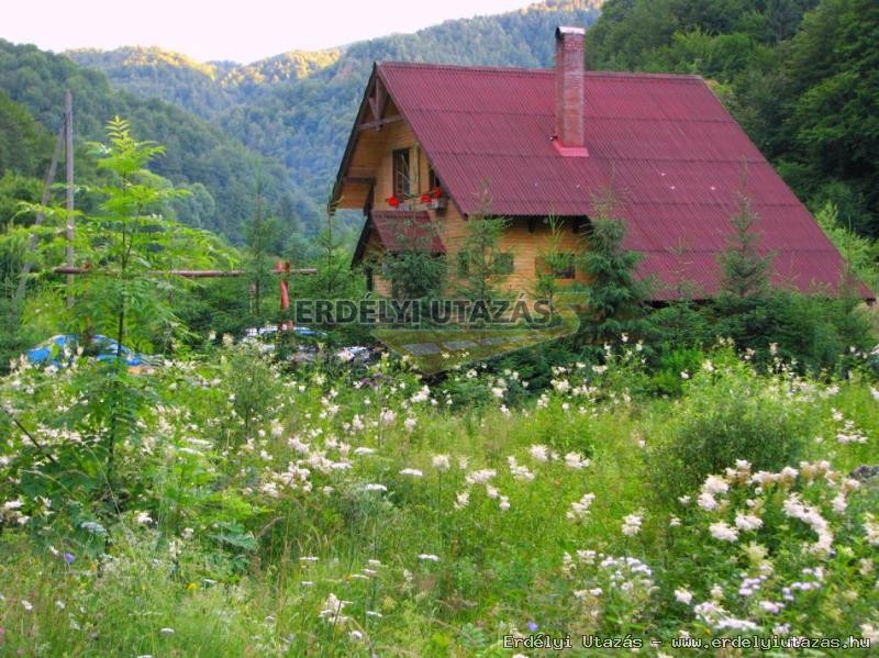 Rustic House (5)