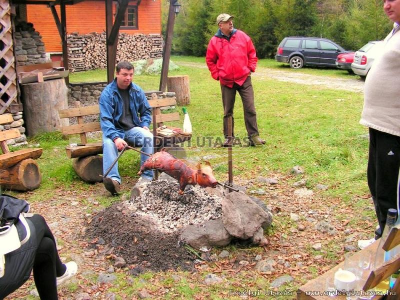 Pension Rustic House (8)