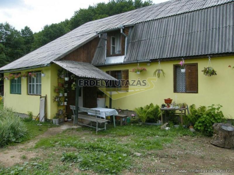 Dzsa Vendghz (1)