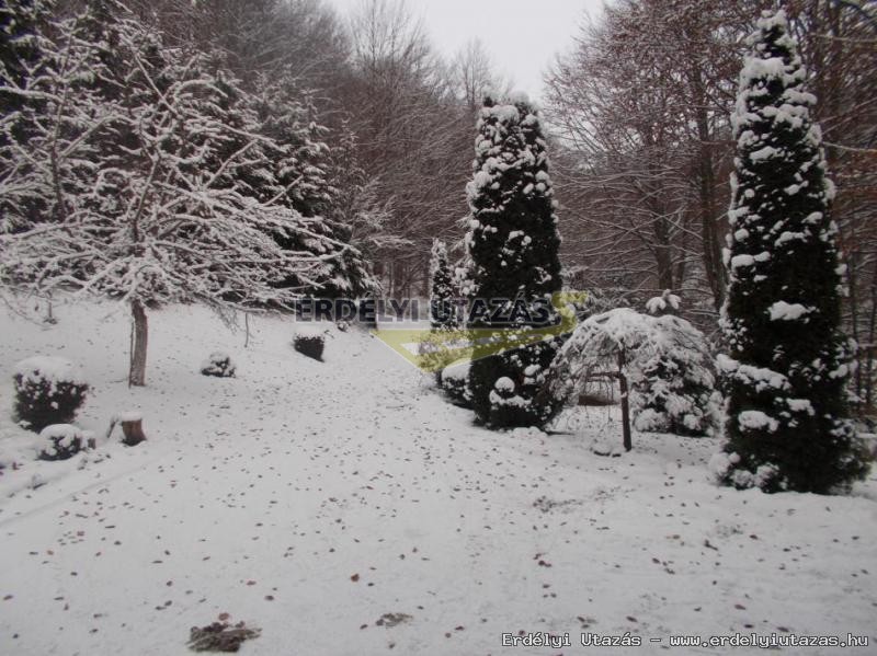 Guesthouse Banucu Livia (23)