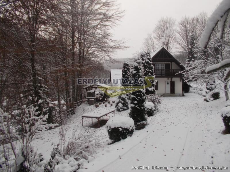 Guesthouse Banucu Livia (21)
