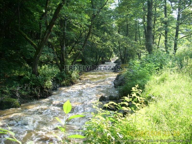 Guesthouse Banucu Livia (20)