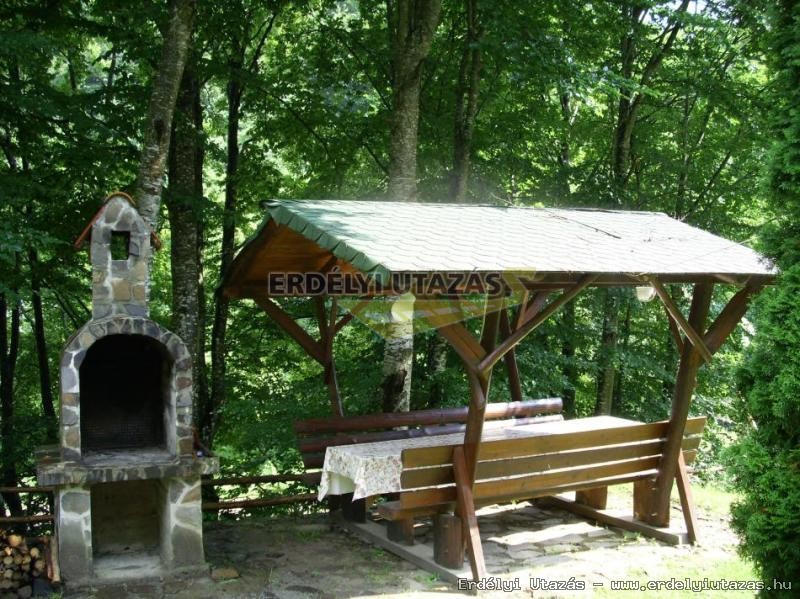 Guesthouse Banucu Livia (4)