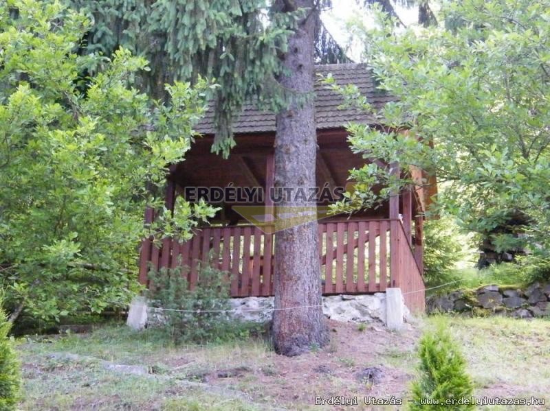 Guesthouse Banucu Livia (9)