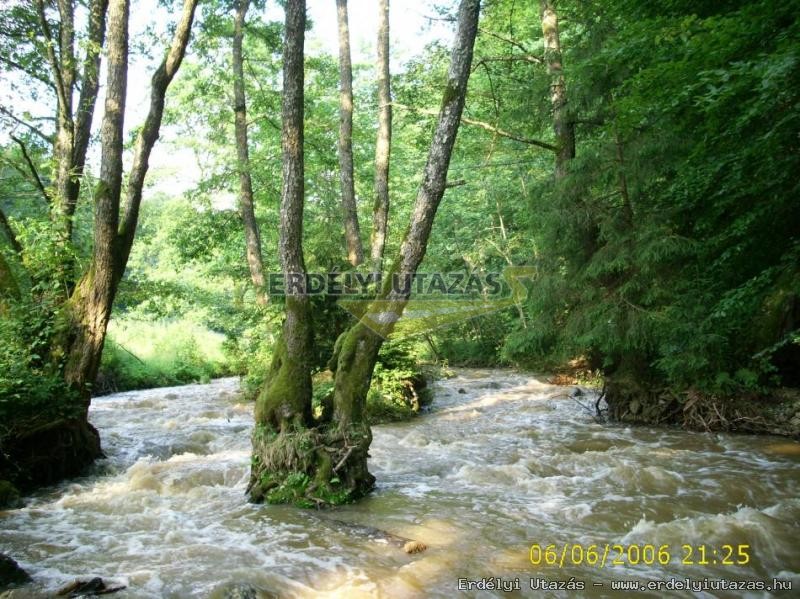 Guesthouse Banucu Livia (19)