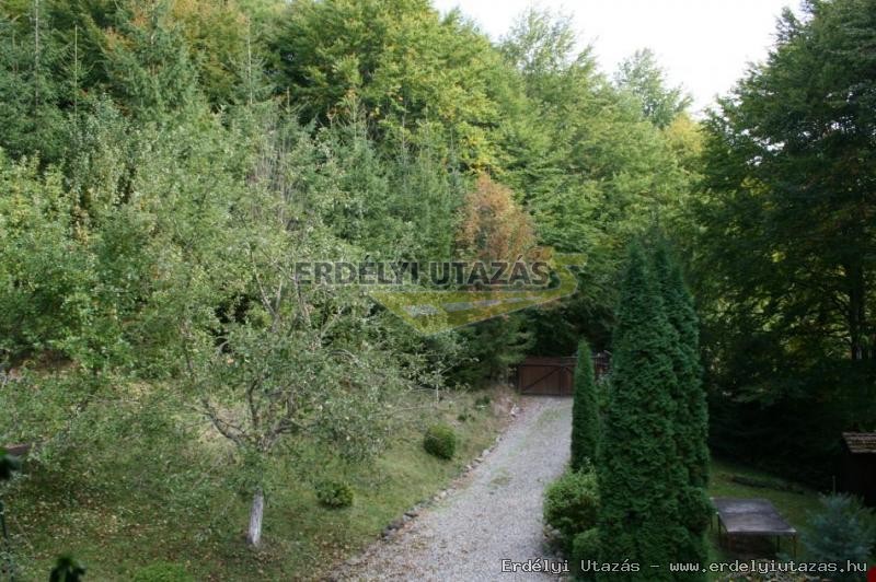 Guesthouse Banucu Livia (10)
