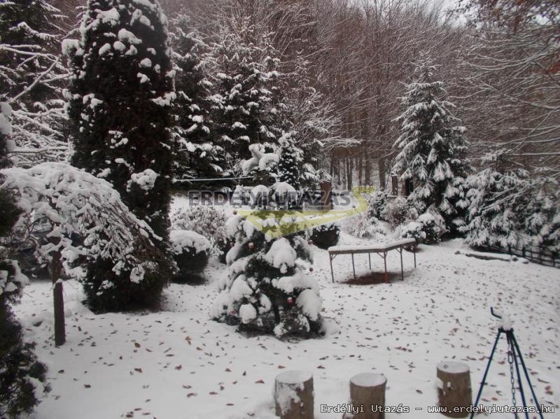 Guesthouse Banucu Livia (22)
