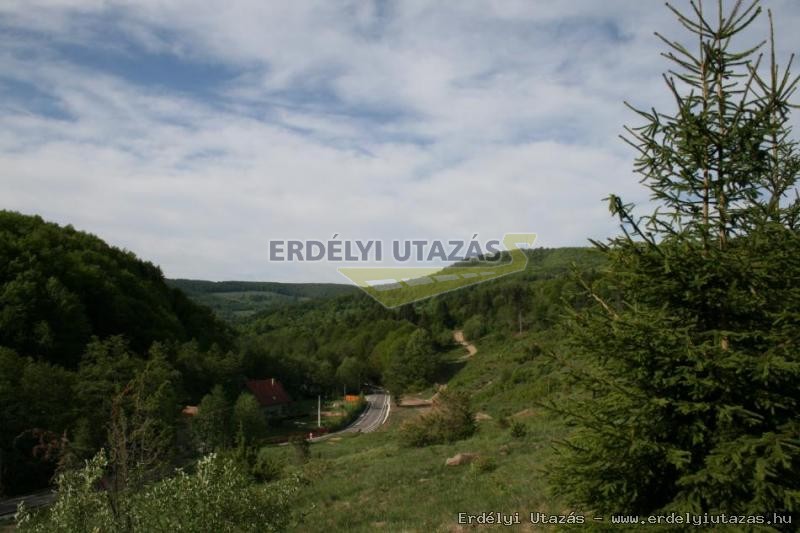 Florin Guesthouse (17)
