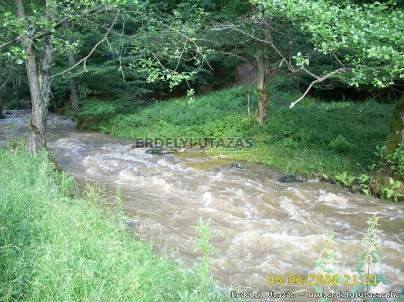 Florin Guesthouse (16)