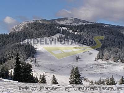 D�lia Pension (13)