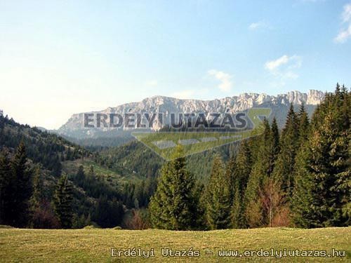 D�lia Pension (12)