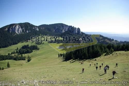 D�lia Pension (15)