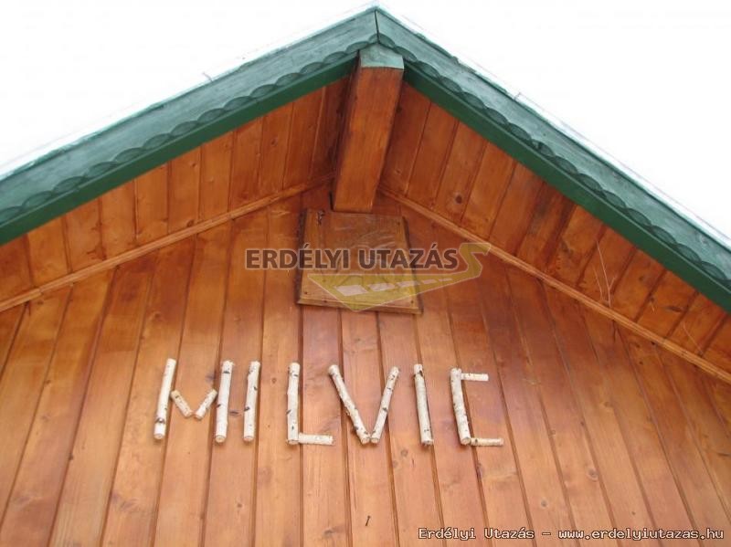 Milvic (3)