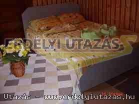 Pensiunea Dealu Botii (7)